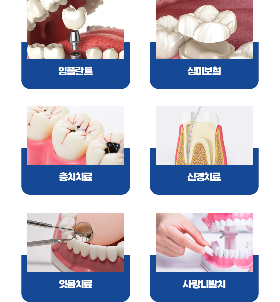 진료과목