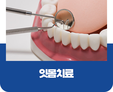 잇몸치료