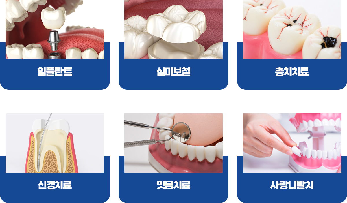 진료과목